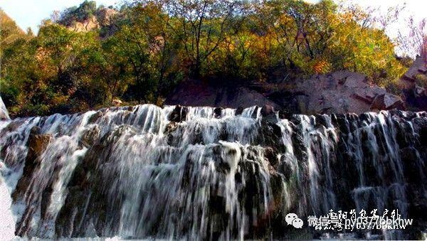 菲沃泰：截至2024年1月19日前十大流通股东持股占比36.34%